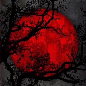 Meet your Posher, Wesley